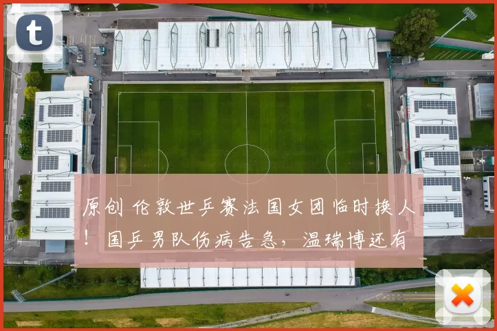 原创 伦敦世乒赛法国女团临时换人！国乒男队伤病告急，温瑞博还有机会吗？