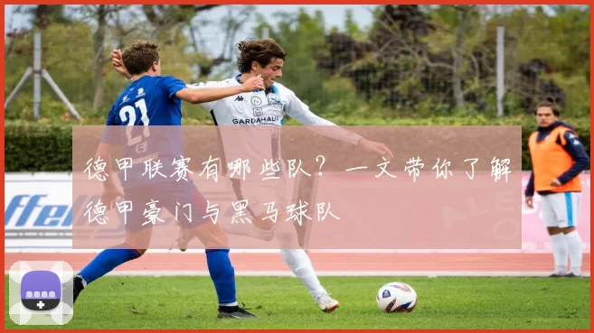 德甲联赛有哪些队？一文带你了解德甲豪门与黑马球队