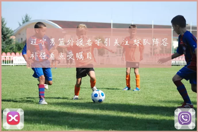 辽宁男篮外援名字引关注 球队阵容补强看点受瞩目