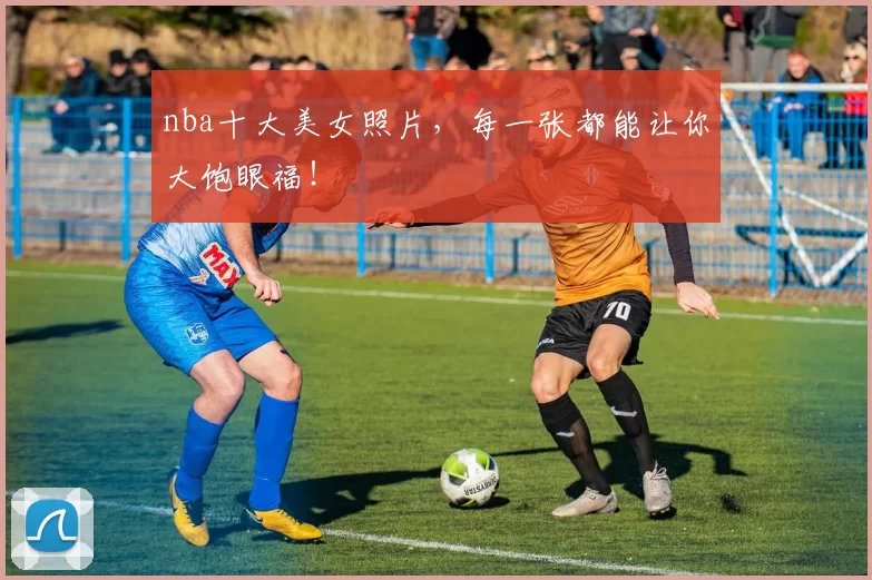 nba十大美女照片，每一张都能让你大饱眼福！
